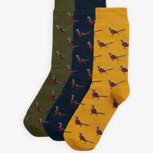 Pheasant Socks Gift Box (Forest Mist)